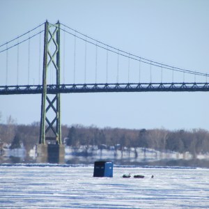 Photos by Steve Krauz