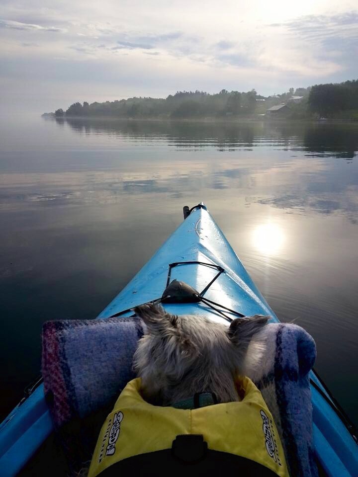 Pepper has been kayaking on the SLR for nearly a decade!   Steve Krauz, Photographer